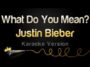 what do you mean justin bieber