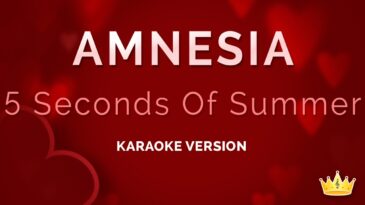 amnesia  seconds of summer