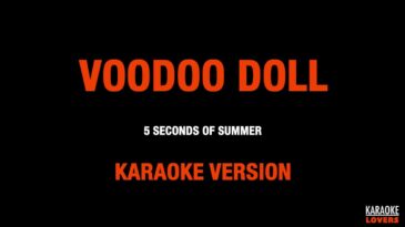 voodoo doll  seconds of summer