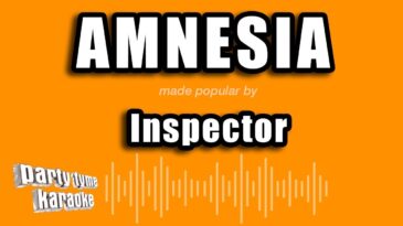 amnesia inspector