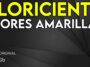Flores Amarillas – Floricienta