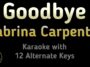 Goodbye – Sabrina Carpenter
